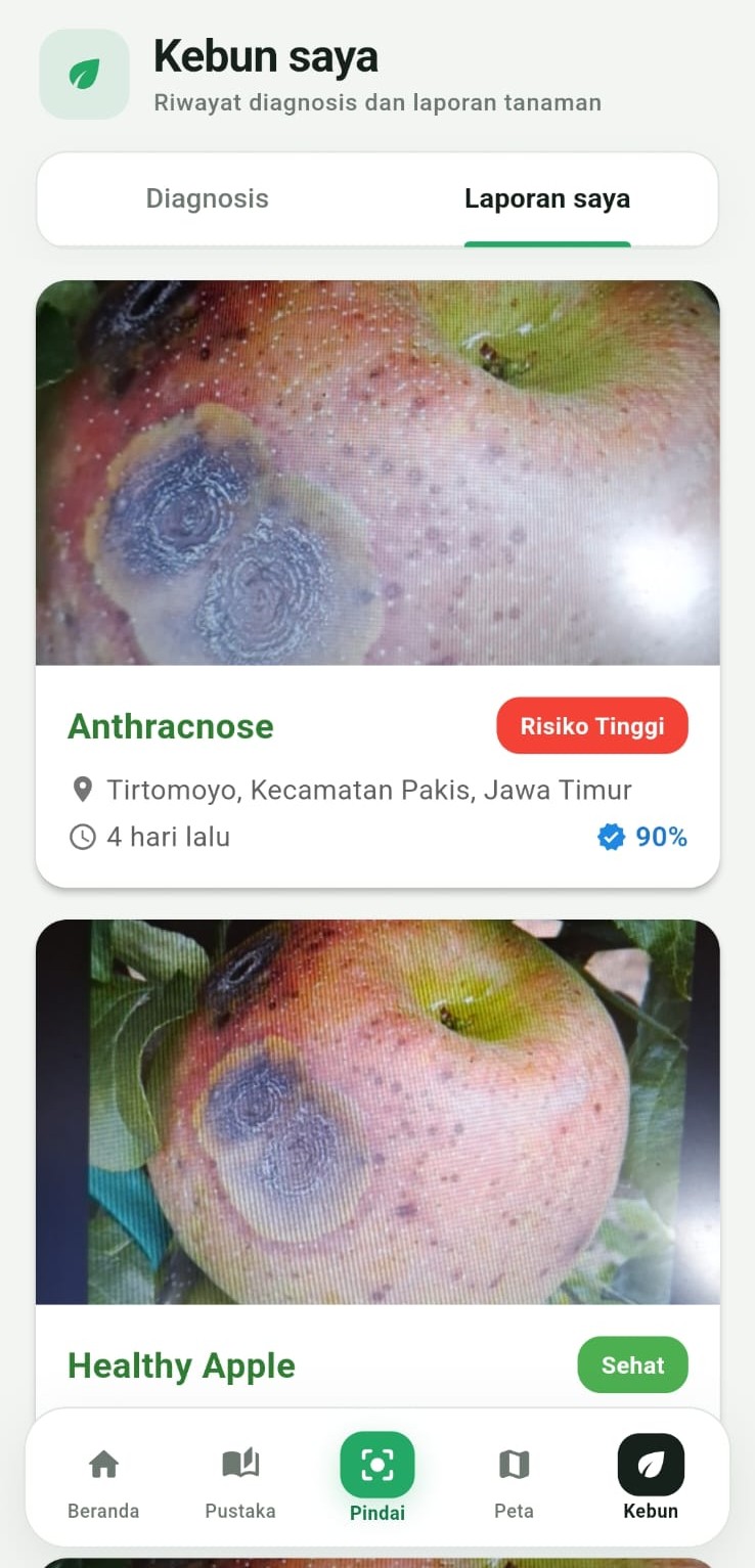 Riwayat laporan kebun pada aplikasi ManalagiCare